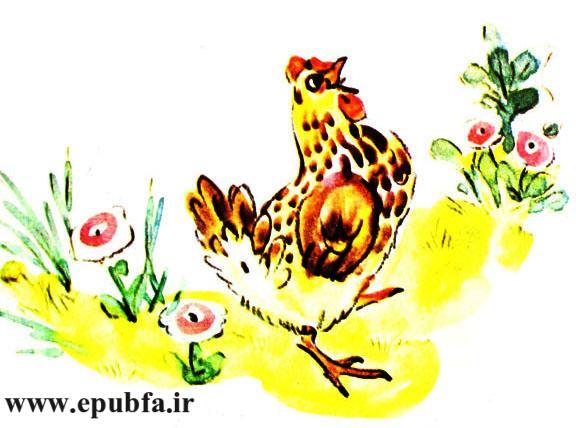قصه کودکانه حنایی و جوجههایش-کتاب قصه کودکانه-ایپابفا قصه و داستان5